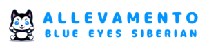logo-sito-allevamento-blue-eyes-siberian